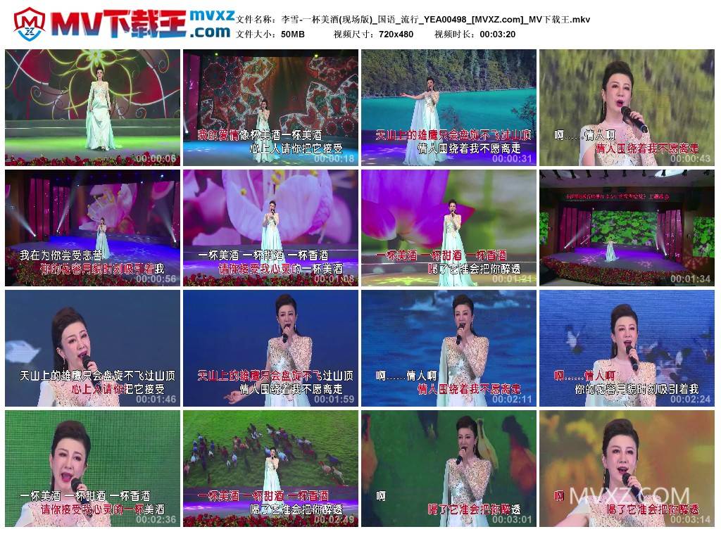 李雪-一杯美酒(现场版)_国语_流行_YEA00498